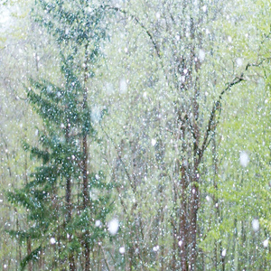 激情精品成人一区二区AV免费看
